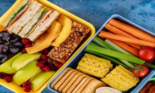 Tips For Choosing Travel Food Containers