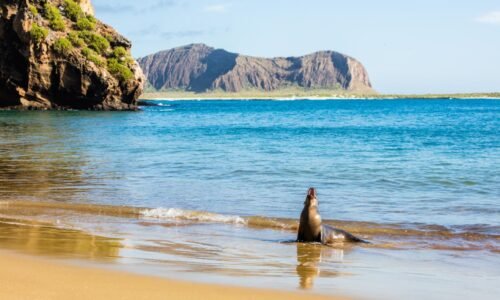 overseas adventure travel financial problems 2023