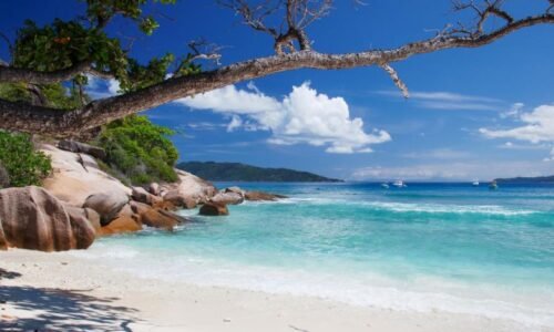Best Trips for Solo Travelers