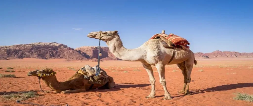 Middle East