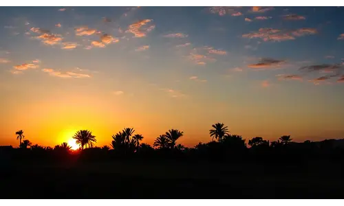 What to Expect in Marrakech