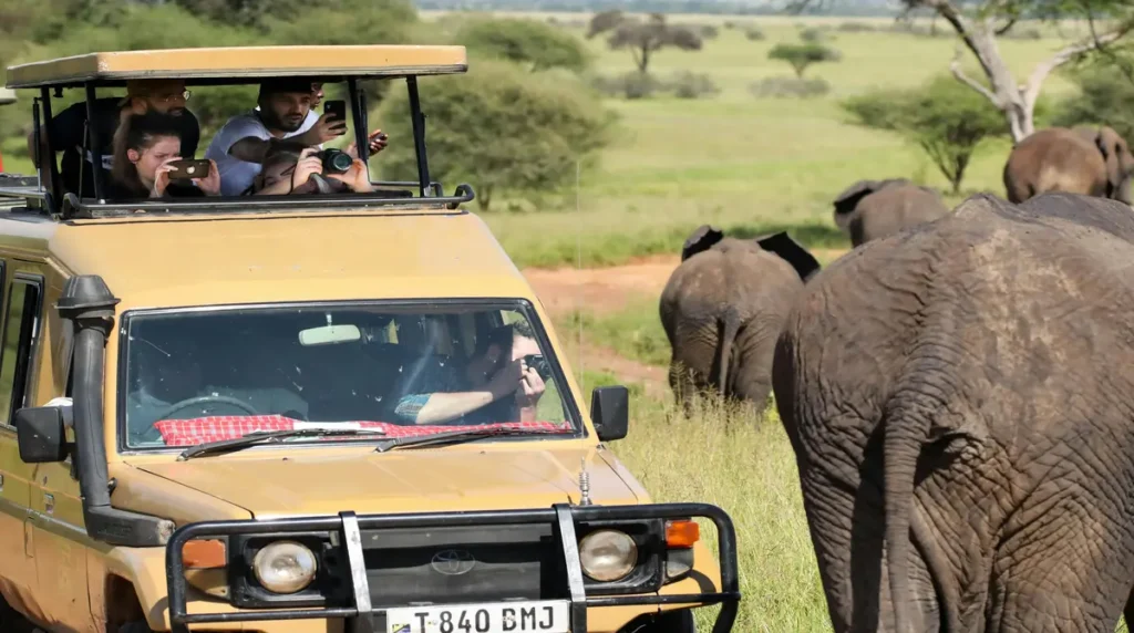 luxury safari tours
