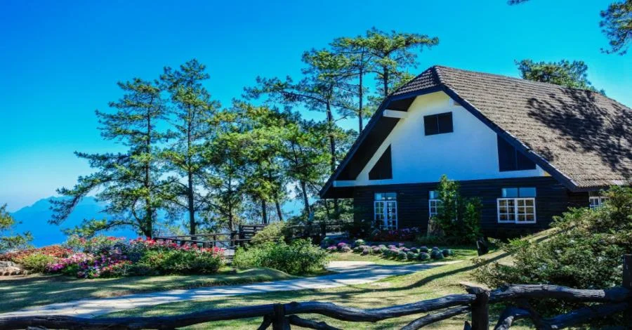 Summer Travel Ideas